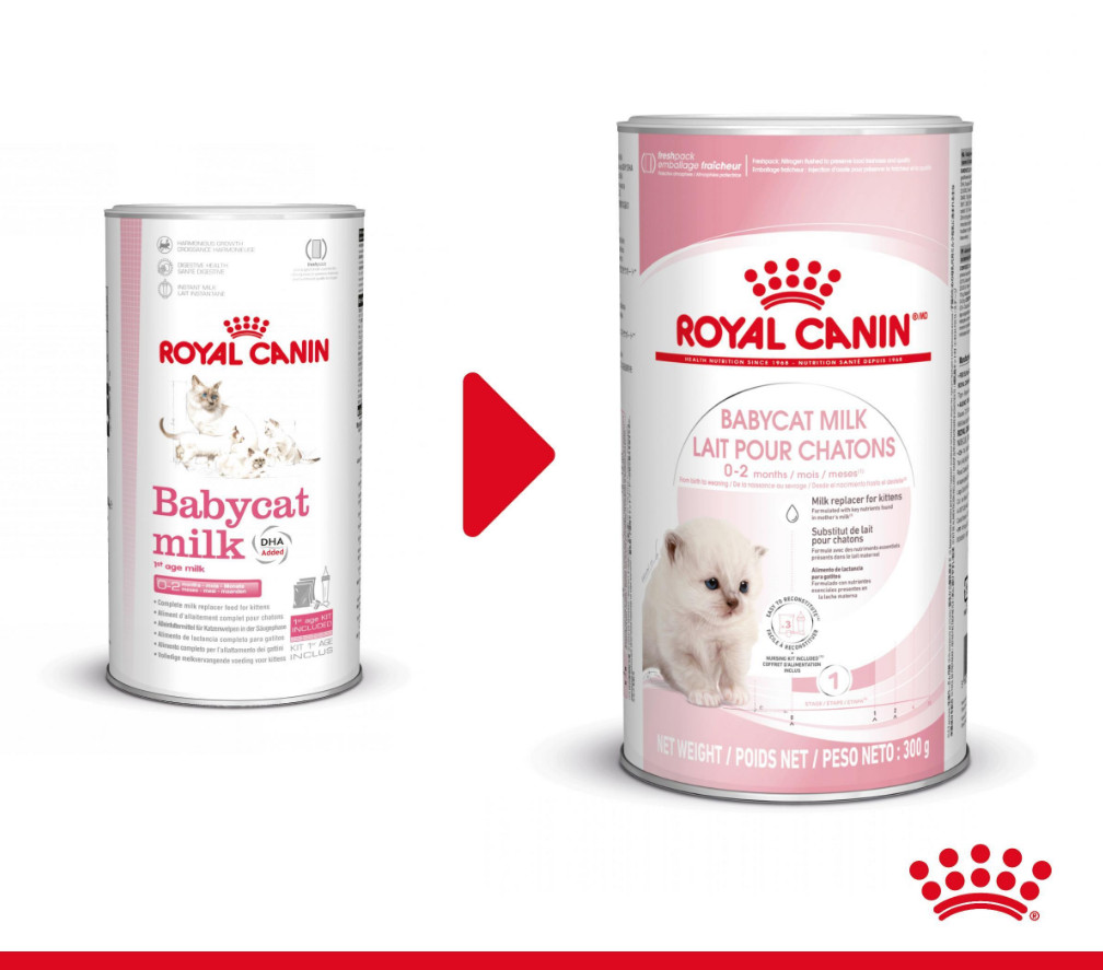 Royal Canin Babycat Milk Kittenmelk