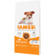 Iams for Vitality Puppy Small & Medium mit Huhn Hundefutter