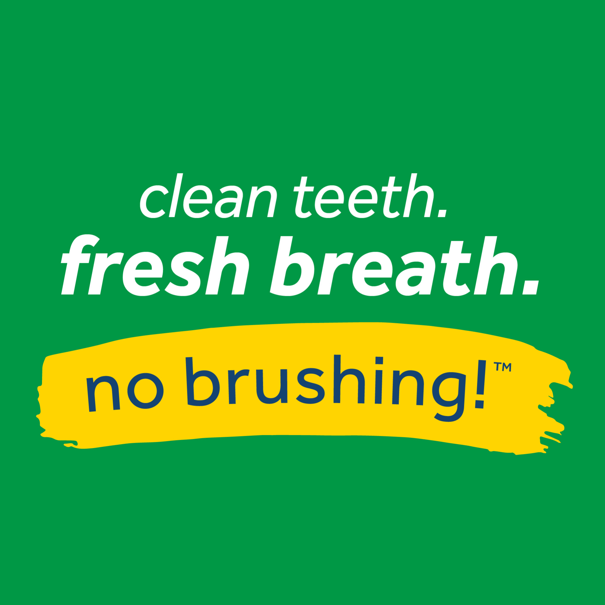 Tropiclean Fresh Breath Foam gebitsreiniging hond