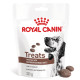 Royal Canin Gastrointestinal Treats friandise pour chien