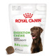 Royal Canin Digestion Chews supplément pour chien