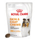 Royal Canin Skin & Coat Chews Supplement für Hunde