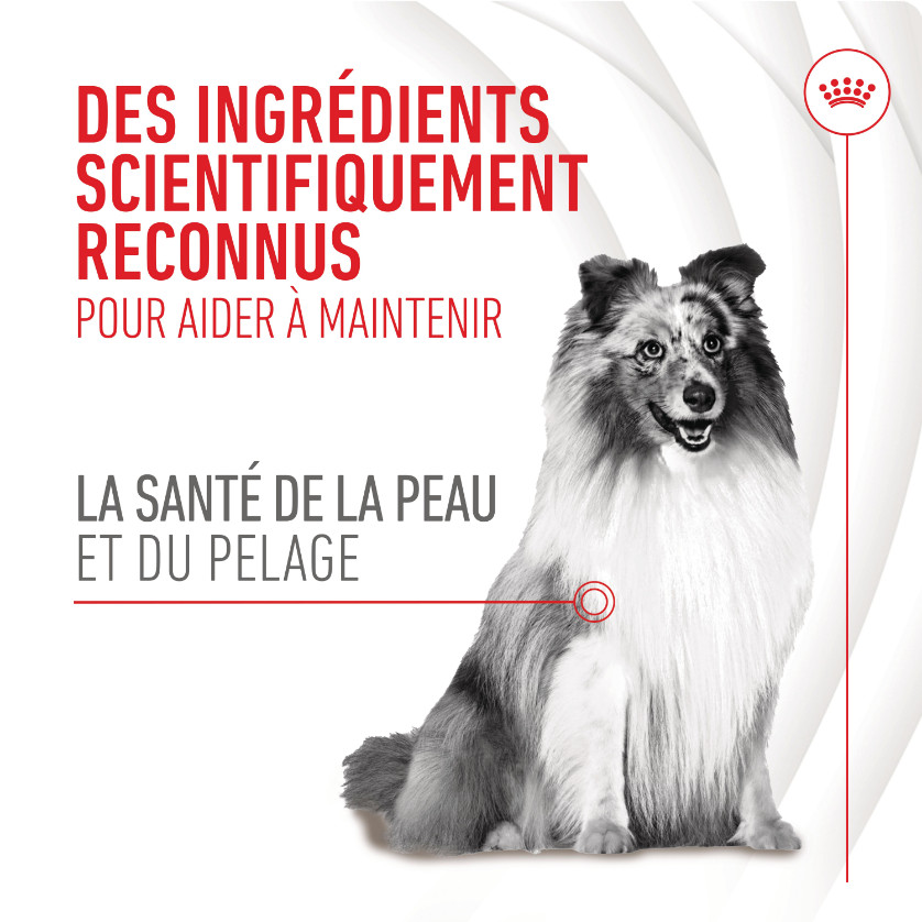 Royal Canin Skin & Coat Chews voedingssupplement hond Royal Canin Skin & Coat Chews voedingssupplement hond