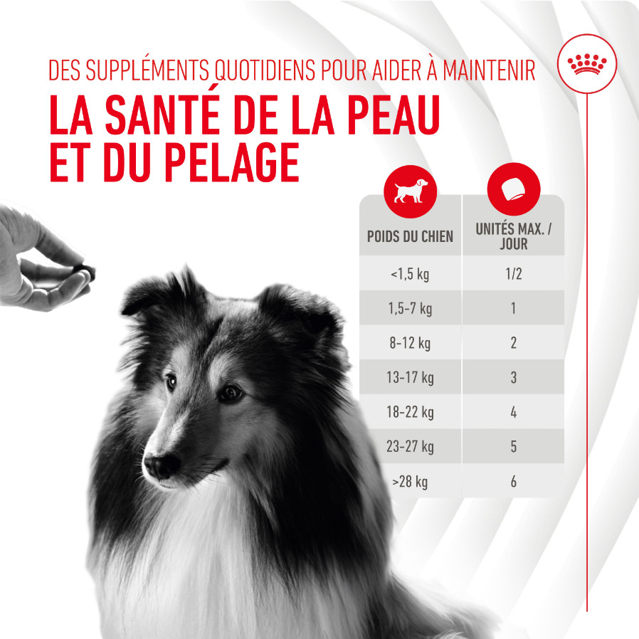 Royal Canin Skin & Coat Chews voedingssupplement hond Royal Canin Skin & Coat Chews voedingssupplement hond