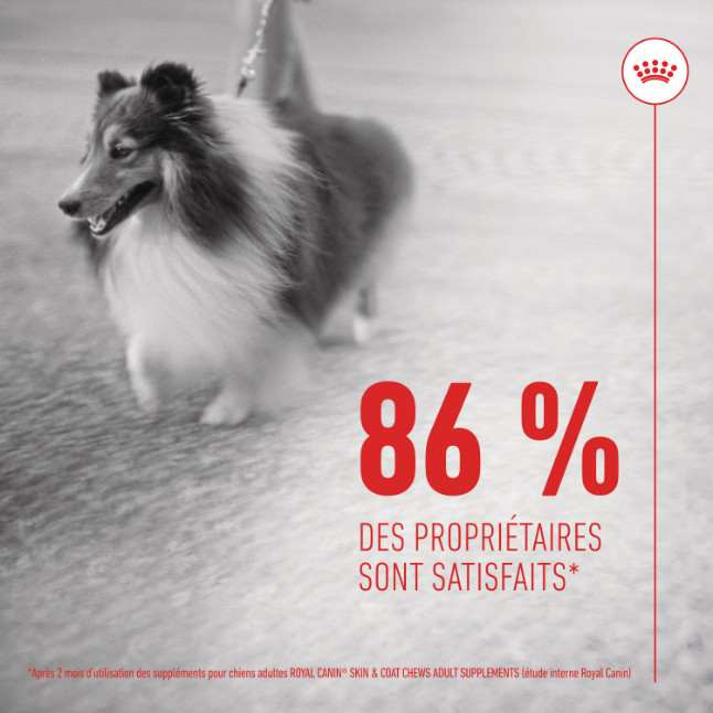 Royal Canin Skin & Coat Chews voedingssupplement hond Royal Canin Skin & Coat Chews voedingssupplement hond