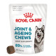 Royal Canin Joint & Ageing Chews Supplement für Hunde