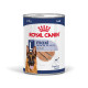 Royal Canin Maxi Adult Loaf pâtée pour chien