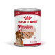 Royal Canin Medium Adult Loaf Hunde-Nassfutter