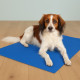 Tapis rafraîchissant pour chien taille XXL