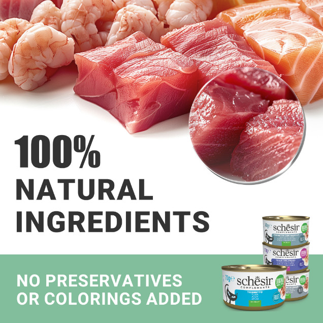 Schesir Cat Soup Wilde roze zalm en wortels