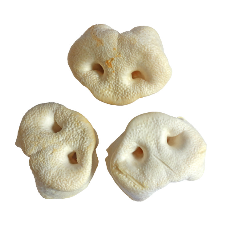 Brekz Snacks - gepofte varkensneus voor de hond