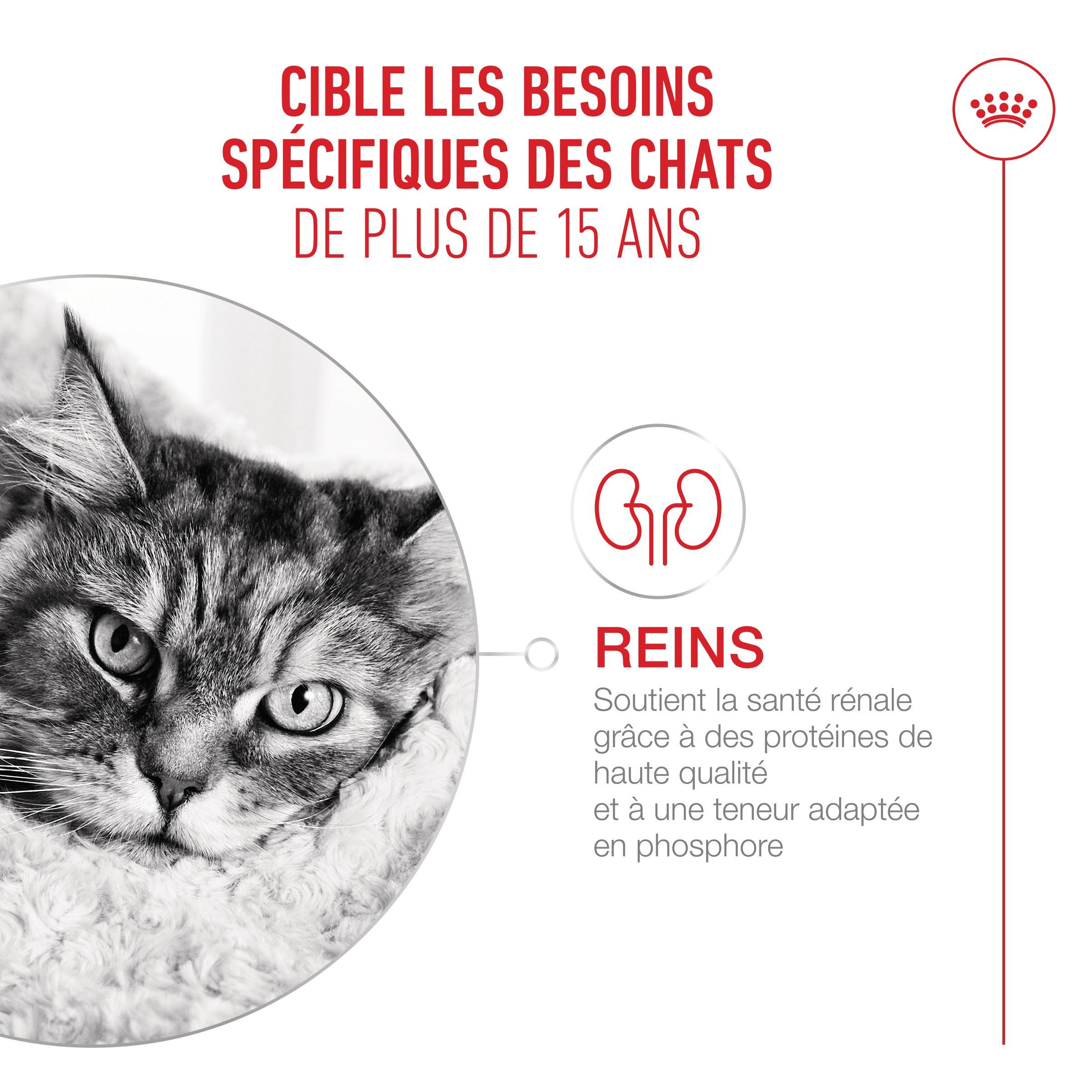 Royal Canin Ageing 15+ kattenvoer