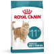 Royal Canin Ageing 11+ pour chat