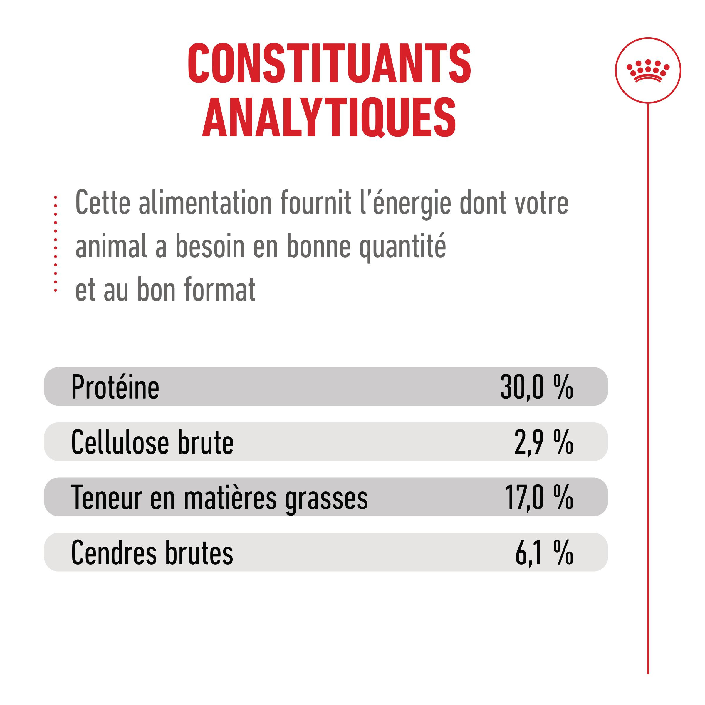 Royal Canin Ageing 11+ kattenvoer