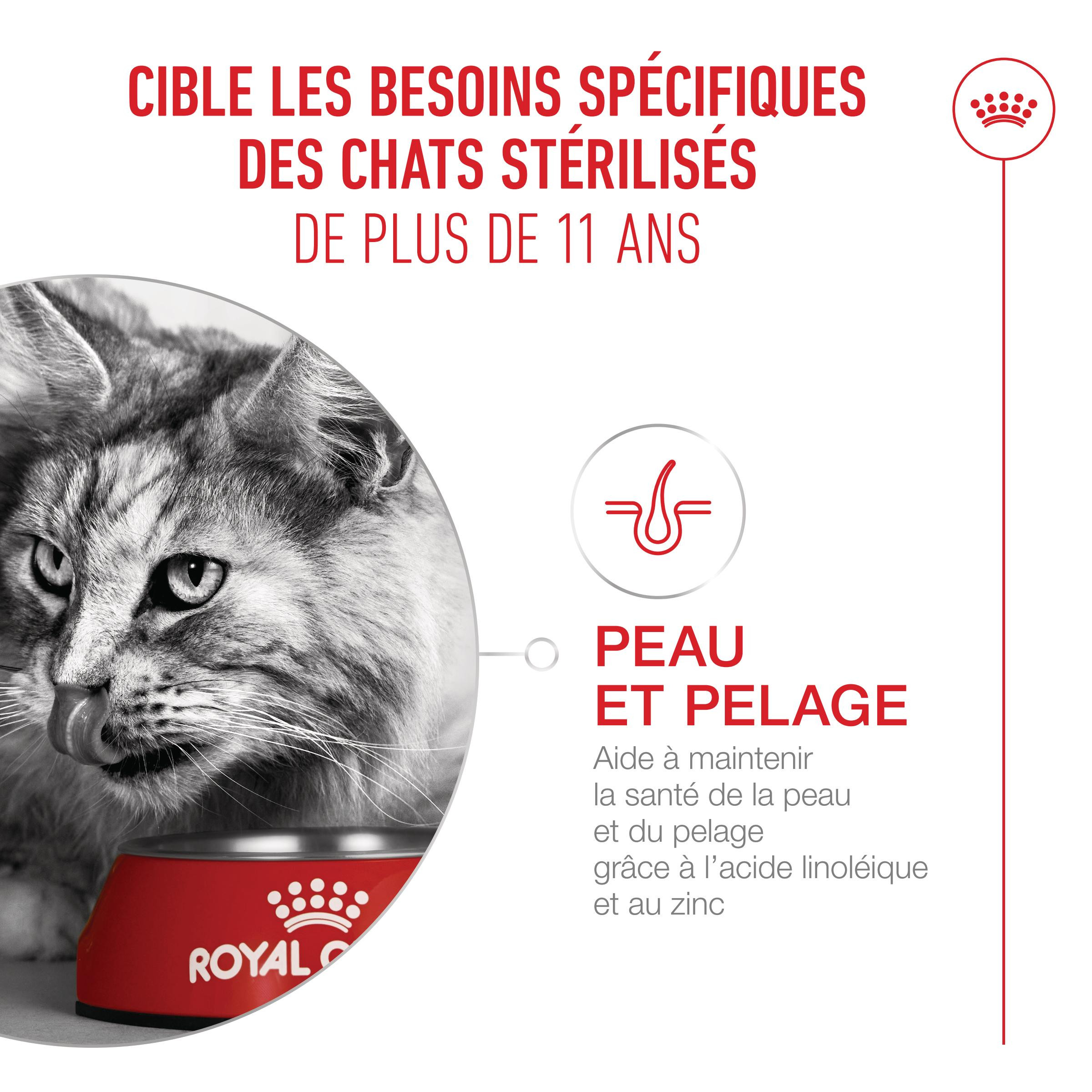 Royal Canin Ageing Sterilised 11+ kattenvoer Royal Canin Ageing Sterilised 11+ kattenvoer