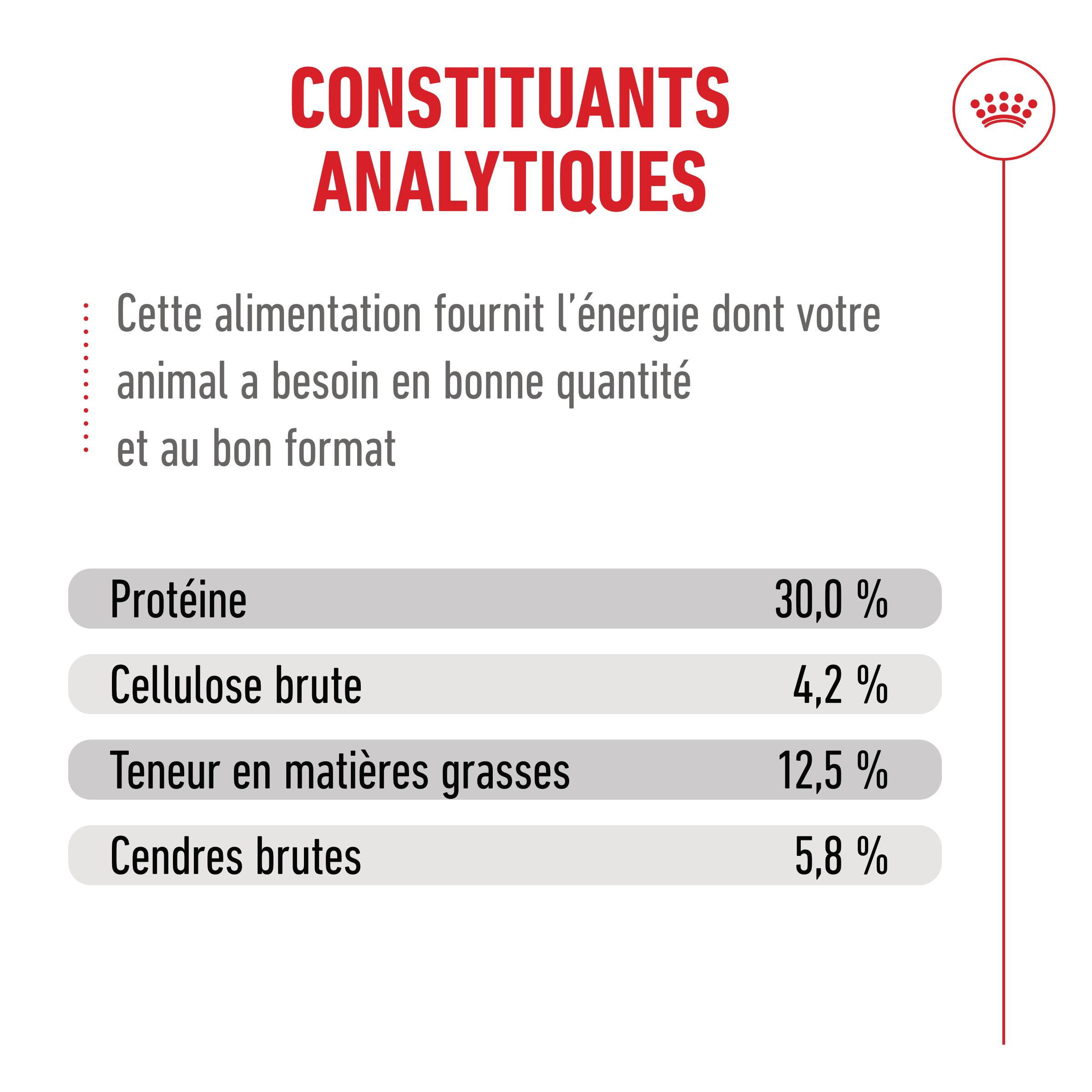 Royal Canin Ageing Sterilised 11+ kattenvoer Royal Canin Ageing Sterilised 11+ kattenvoer