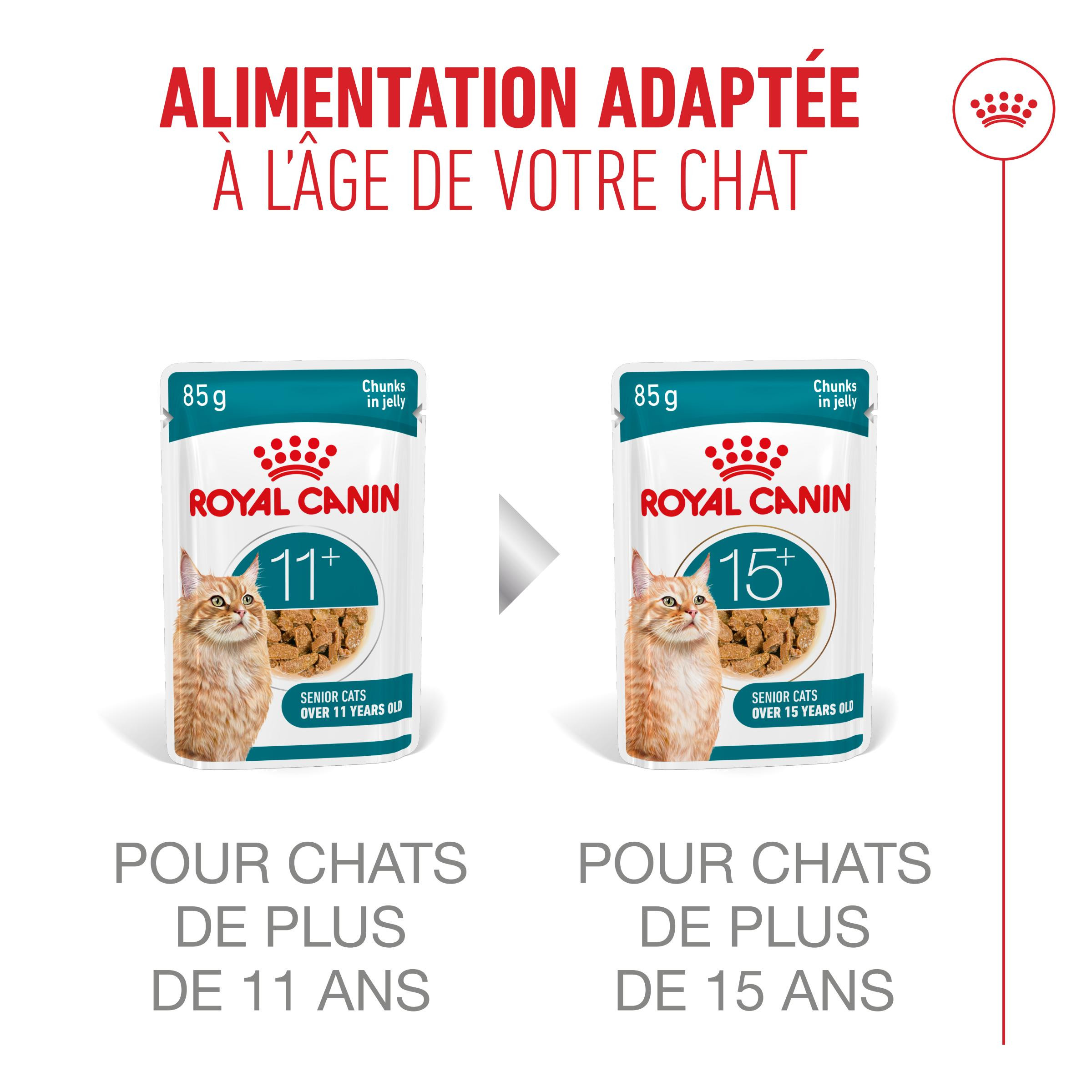 Royal Canin Ageing 11+ natvoer kat (in saus of gelei)