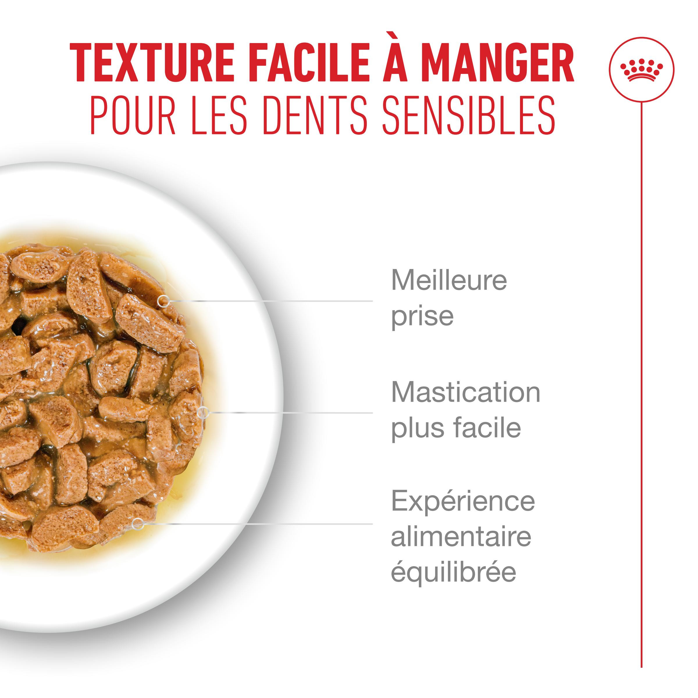 Royal Canin Ageing 15+ natvoer kat (in saus)