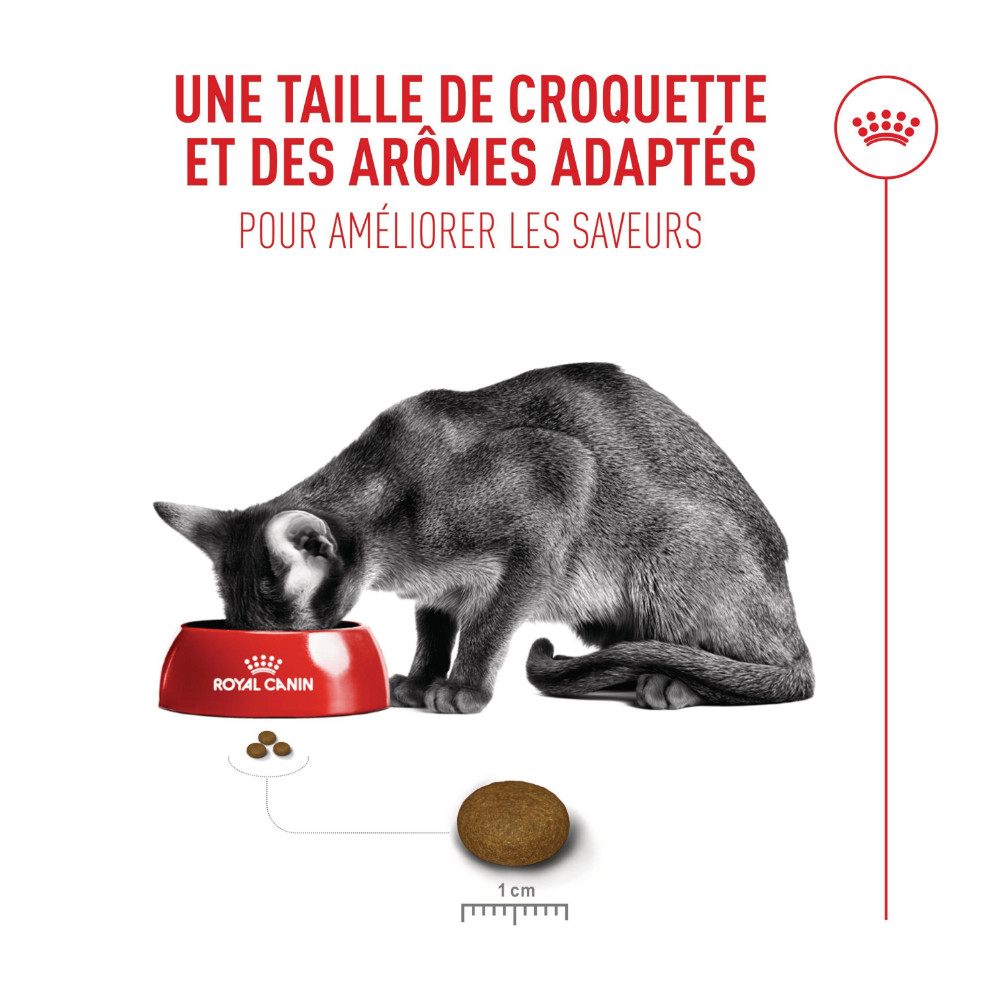 Royal Canin Fussy Exigent kattenvoer