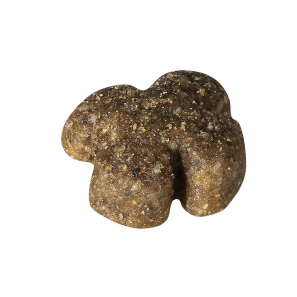 Prins Fit Selection au saumon et riz pour chien