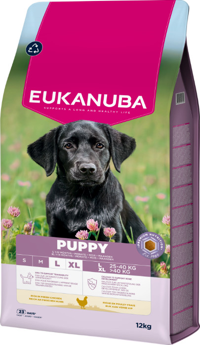 Eukanuba Growing Puppy Large Breed au poulet pour Chiot Eukanuba Growing Puppy Large Breed au poulet pour Chiot