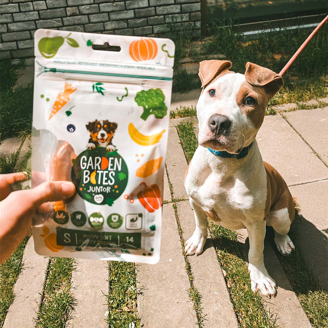 Garden Bites Puppy Soft Fruity Friends hondensnack
