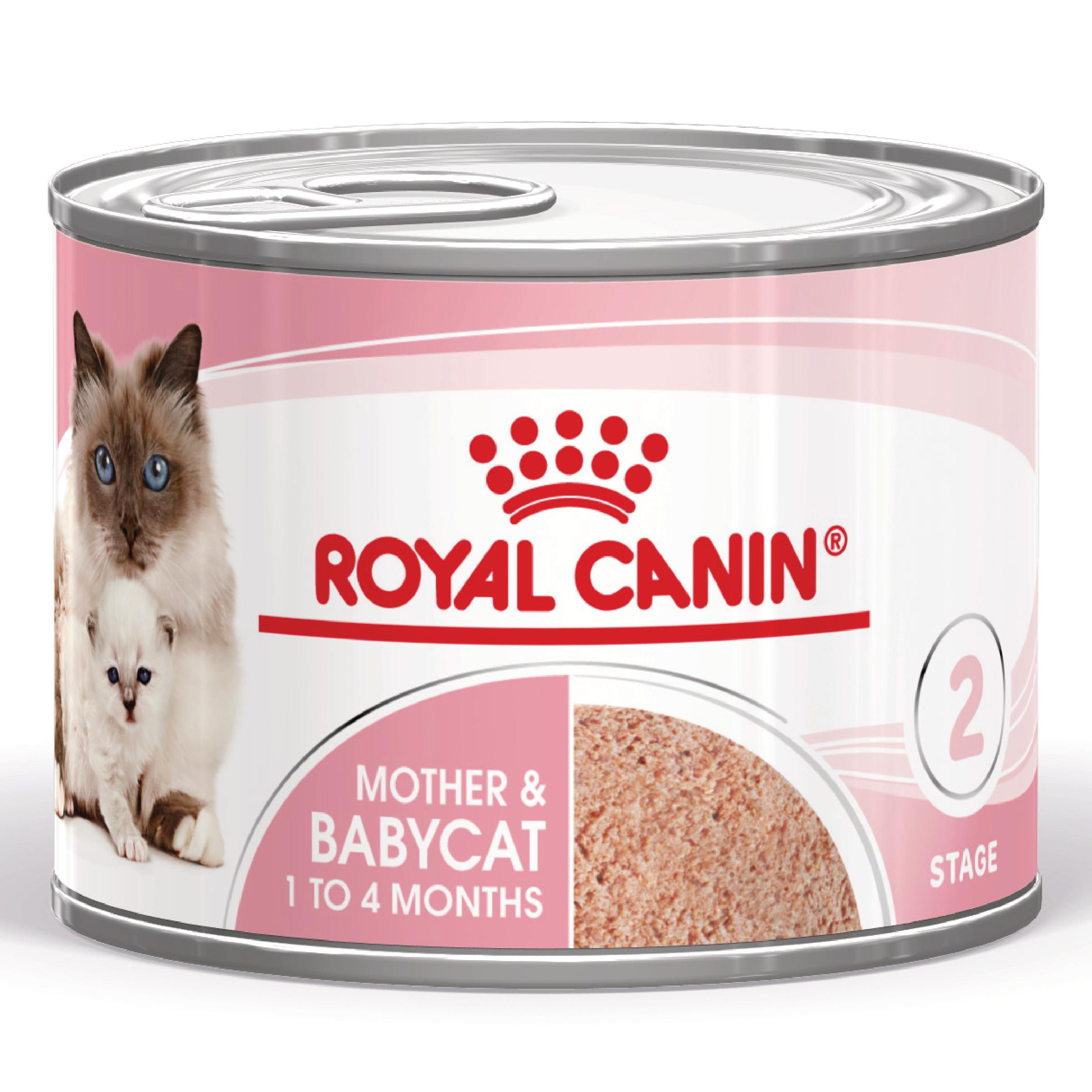 Royal Canin Mother & Babycat pâtée pour chat (en mousse) Royal Canin Mother & Babycat pâtée pour chat (en mousse)