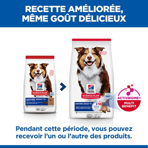 Hill's Mature Adult Medium à l'agneau et riz pour chien Hill's Mature Adult Medium à l'agneau et riz pour chien