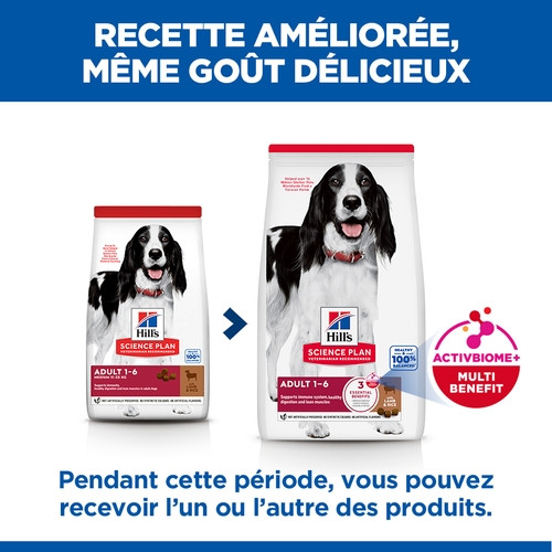 Hill's Adult Medium agneau pour chien Hill's Adult Medium agneau pour chien
