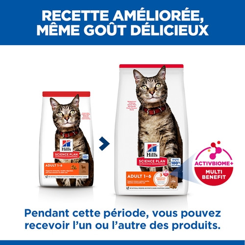 Hill's Adult à l'agneau pour chat Hill's Adult à l'agneau pour chat