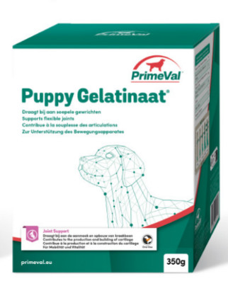 Primeval Puppy Gelatinate für Hunde Primeval Puppy Gelatinate für Hunde