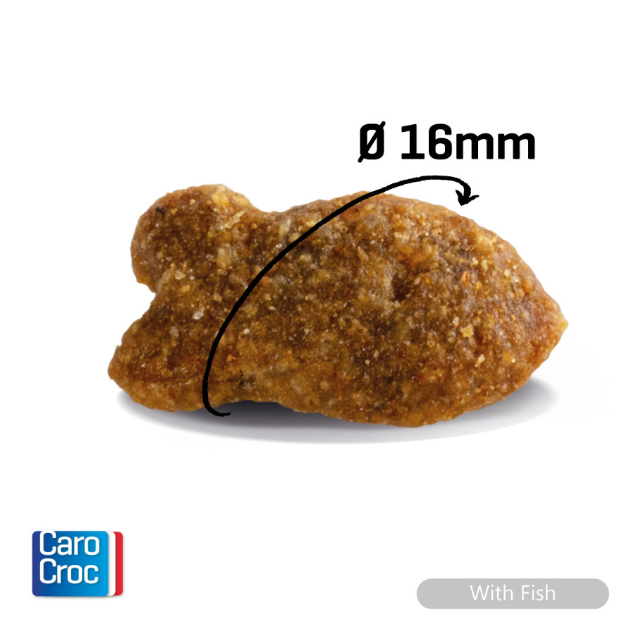 Carocroc 31/18 with Fish kattenvoer