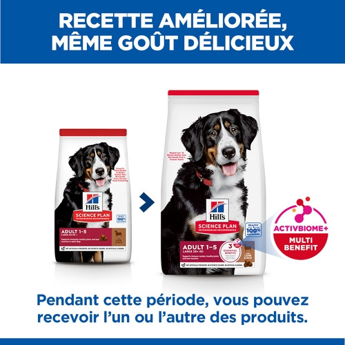 Hill's Adulte Large à l'agneau & riz pour chien