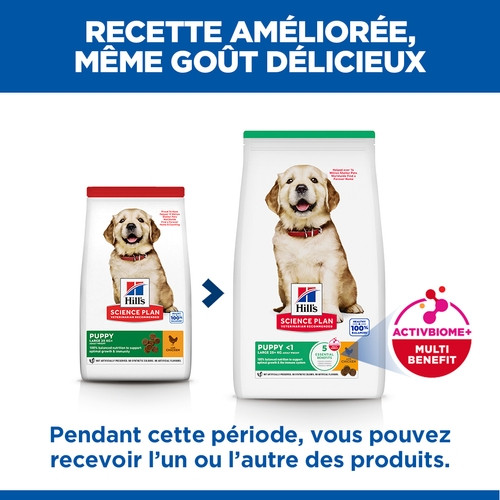 Hill's Puppy Large Breed au poulet pour chiot