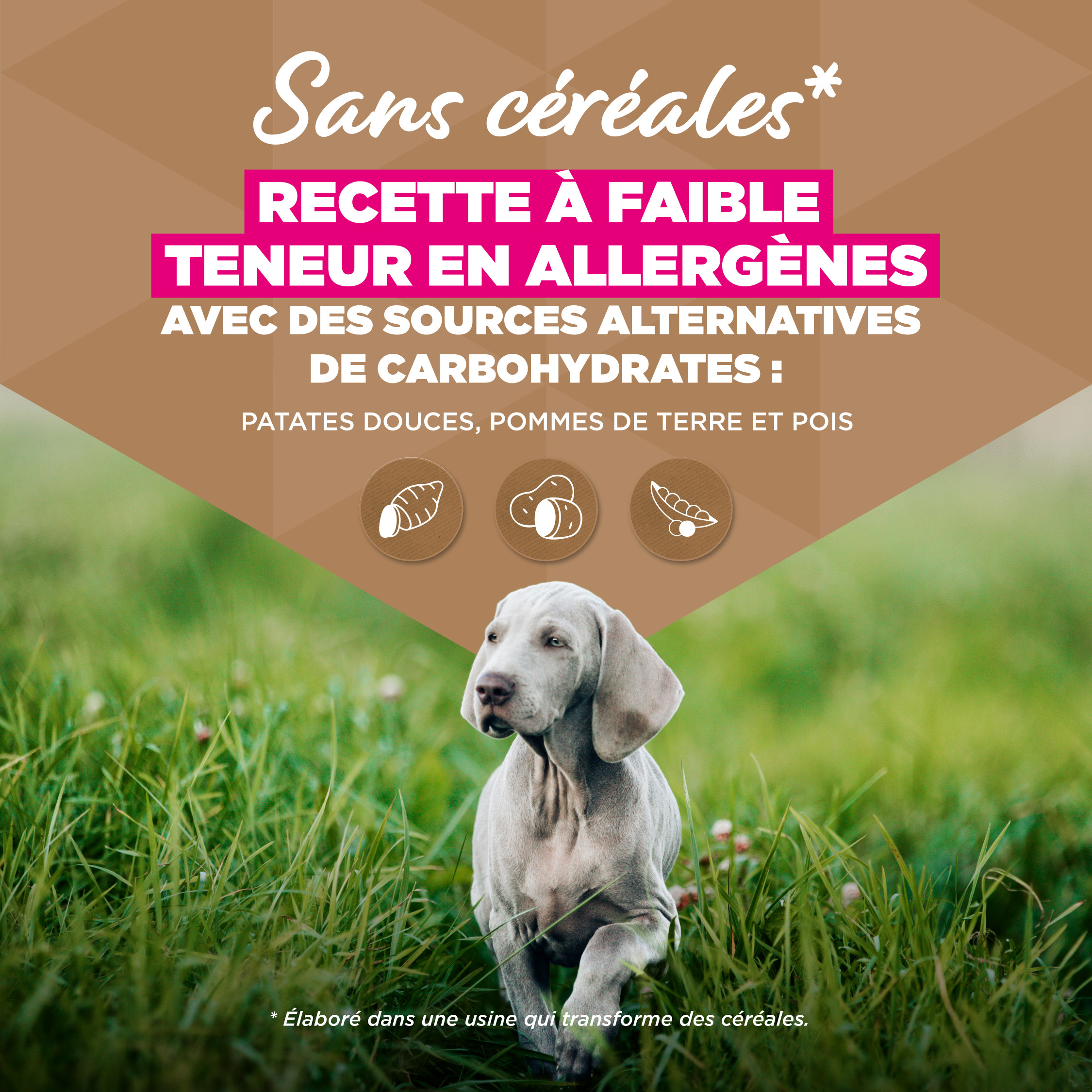 Eukanuba Puppy & Junior L/XL graanvrij zeevis hondenvoer