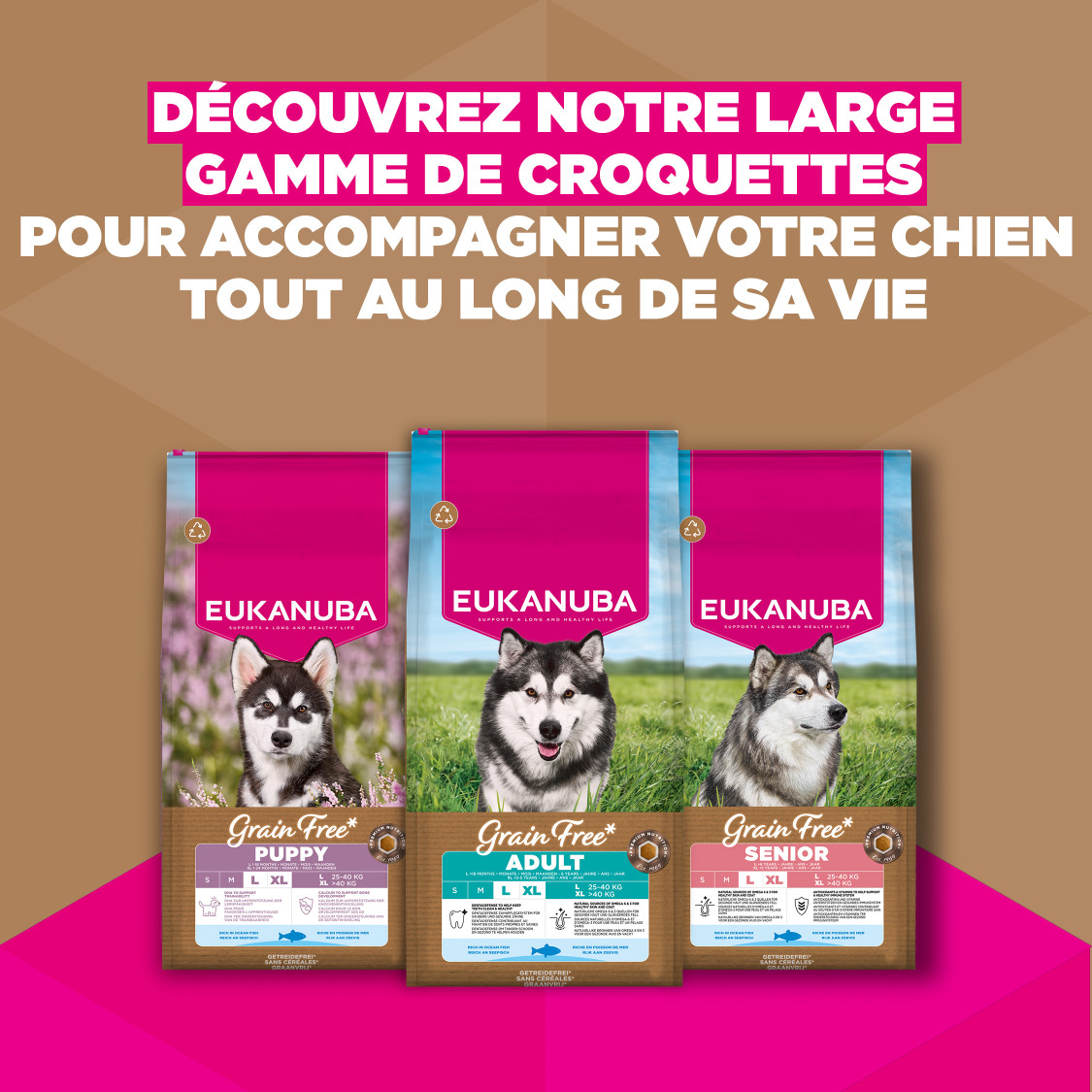 Eukanuba Puppy & Junior L/XL graanvrij zeevis hondenvoer