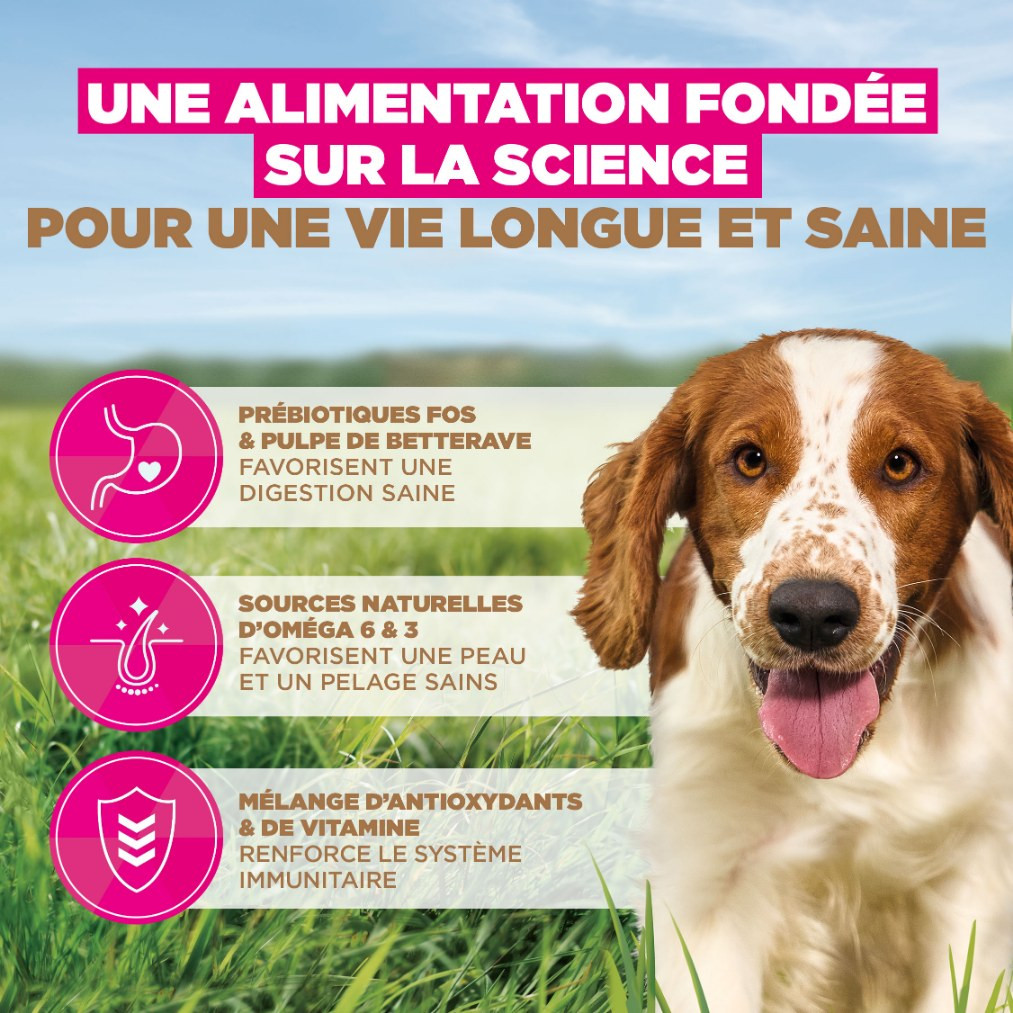 Eukanuba Adult S/M graanvrij zeevis hondenvoer