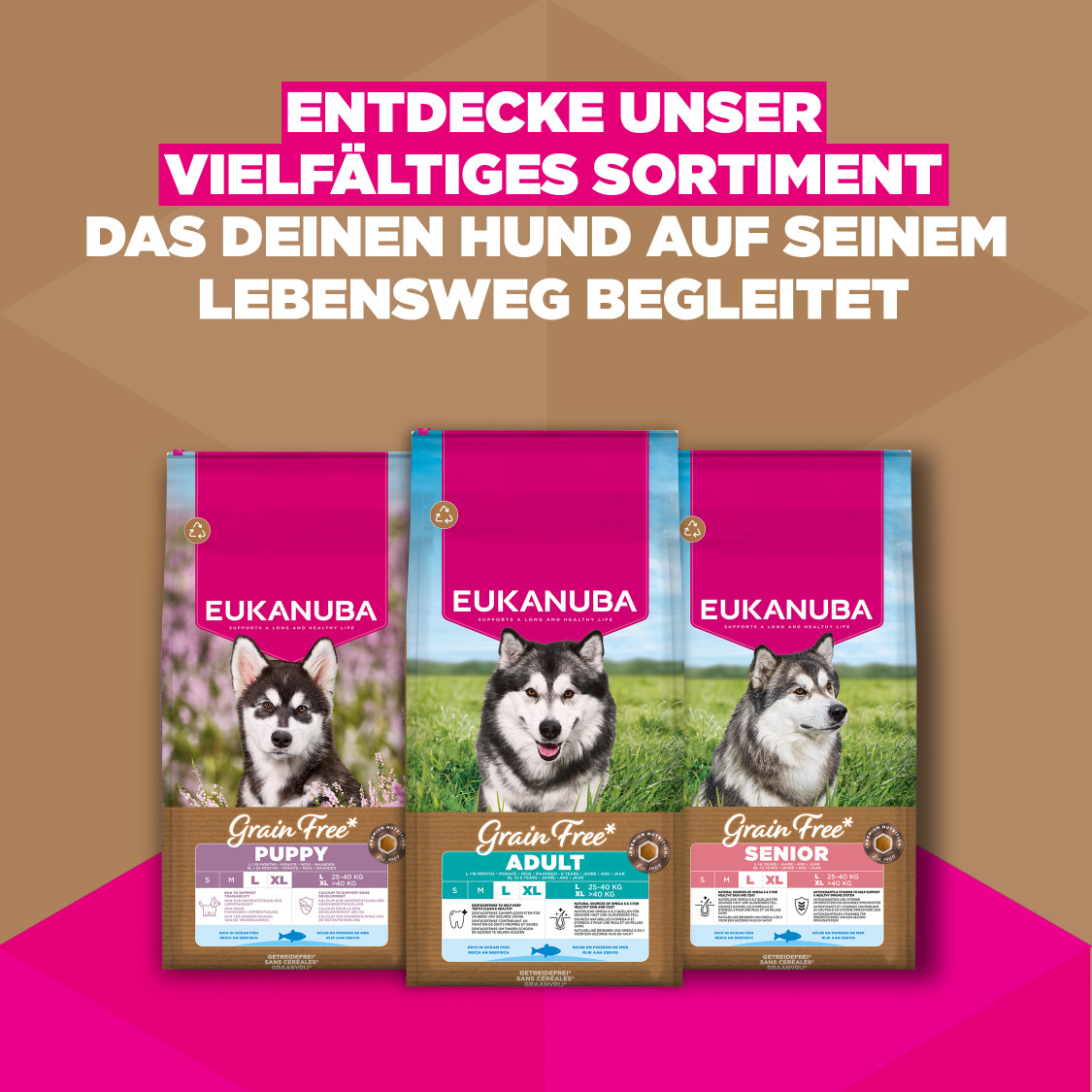Eukanuba Adult L/XL graanvrij zeevis hondenvoer