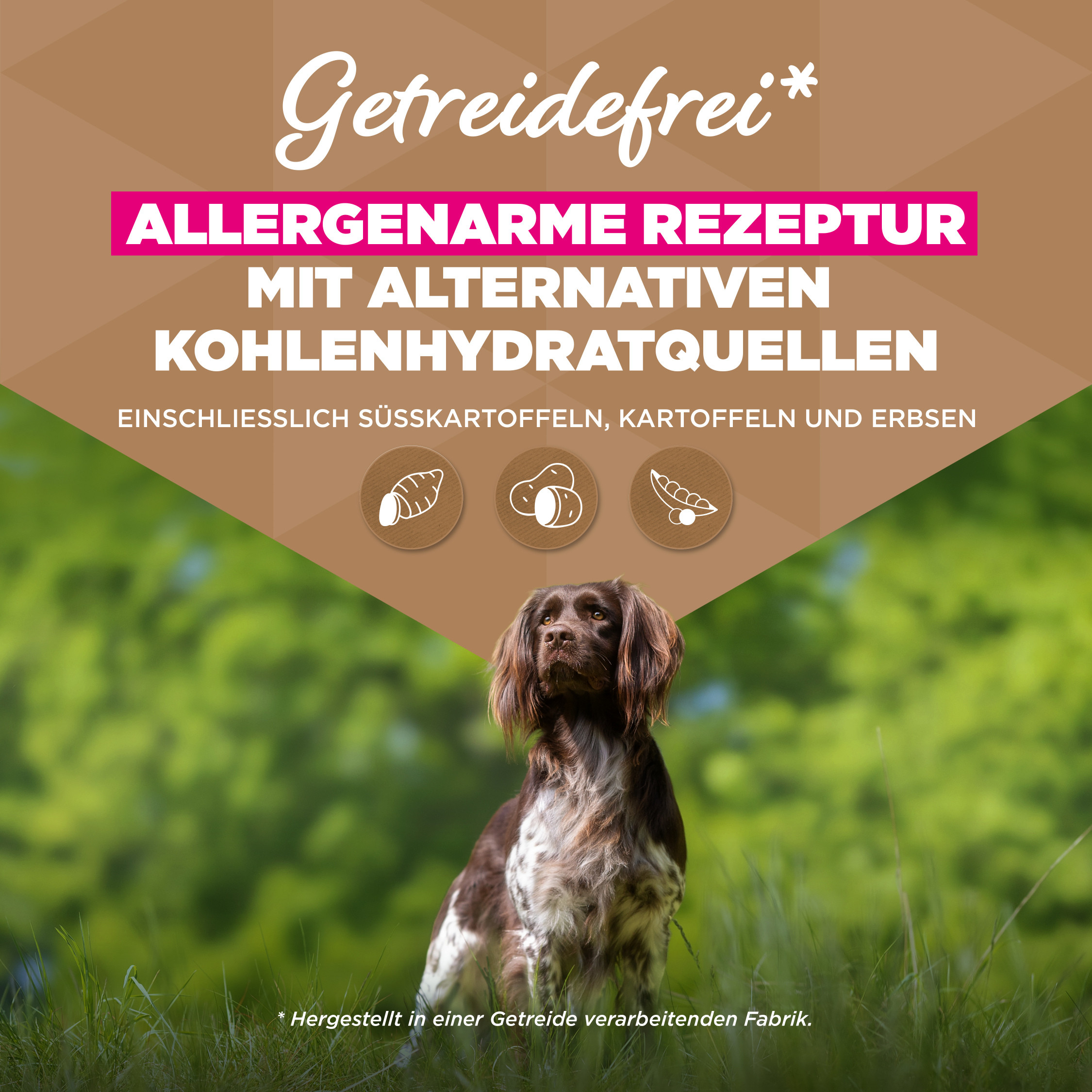 Eukanuba Senior Small & Medium met oceaanvis graanvrij hondenvoer