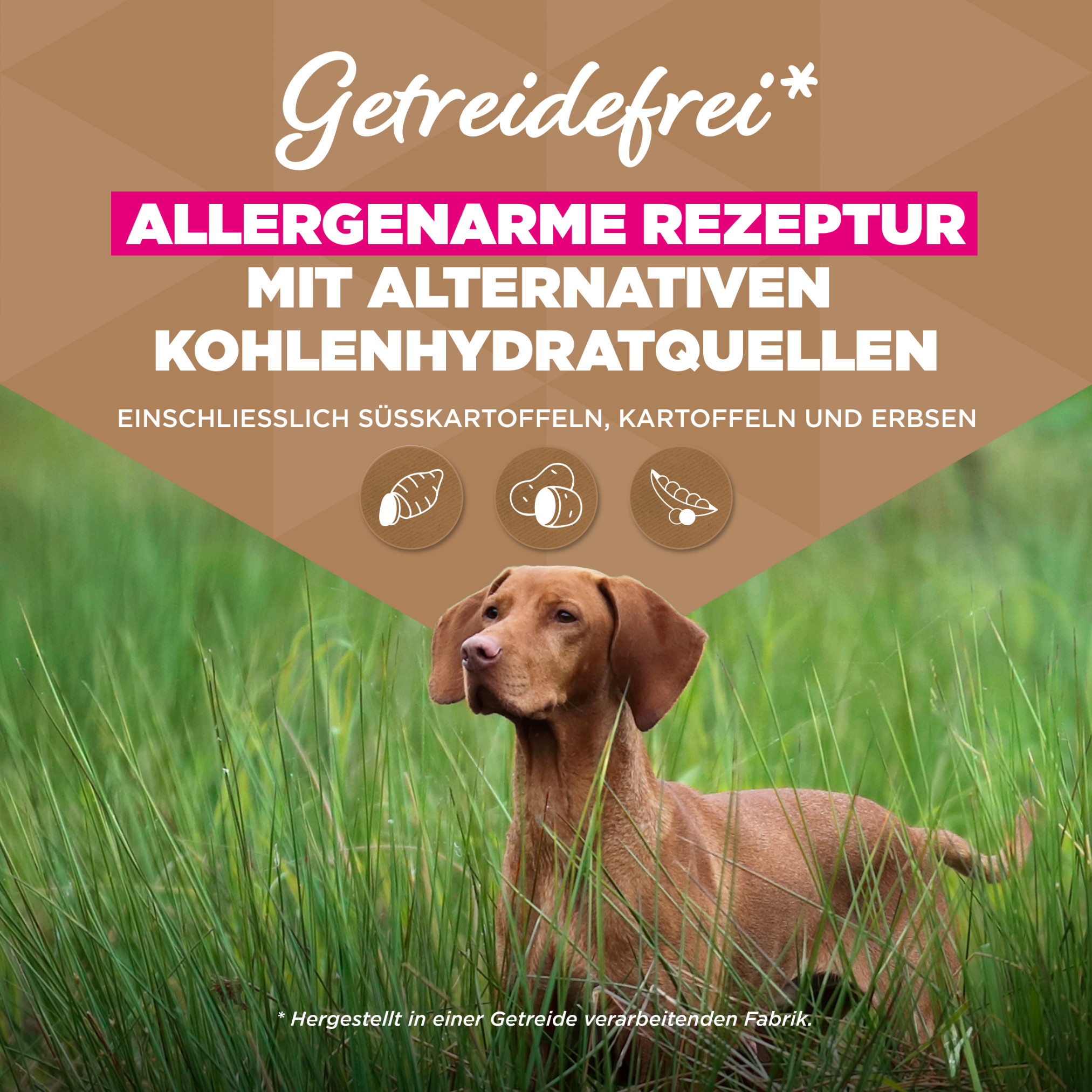 Eukanuba Senior Large met oceaanvis graanvrij hondenvoer