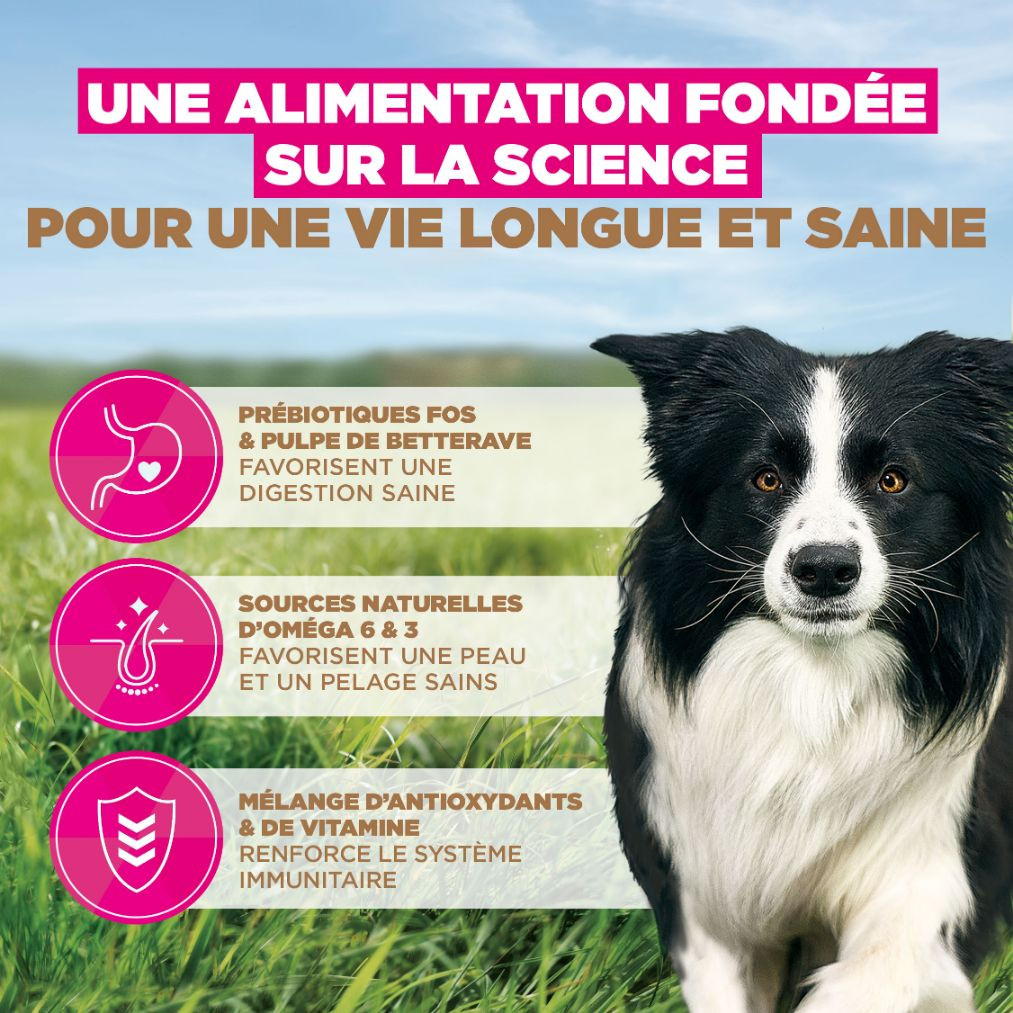 Eukanuba Adult Small & Medium kip graanvrij hondenvoer