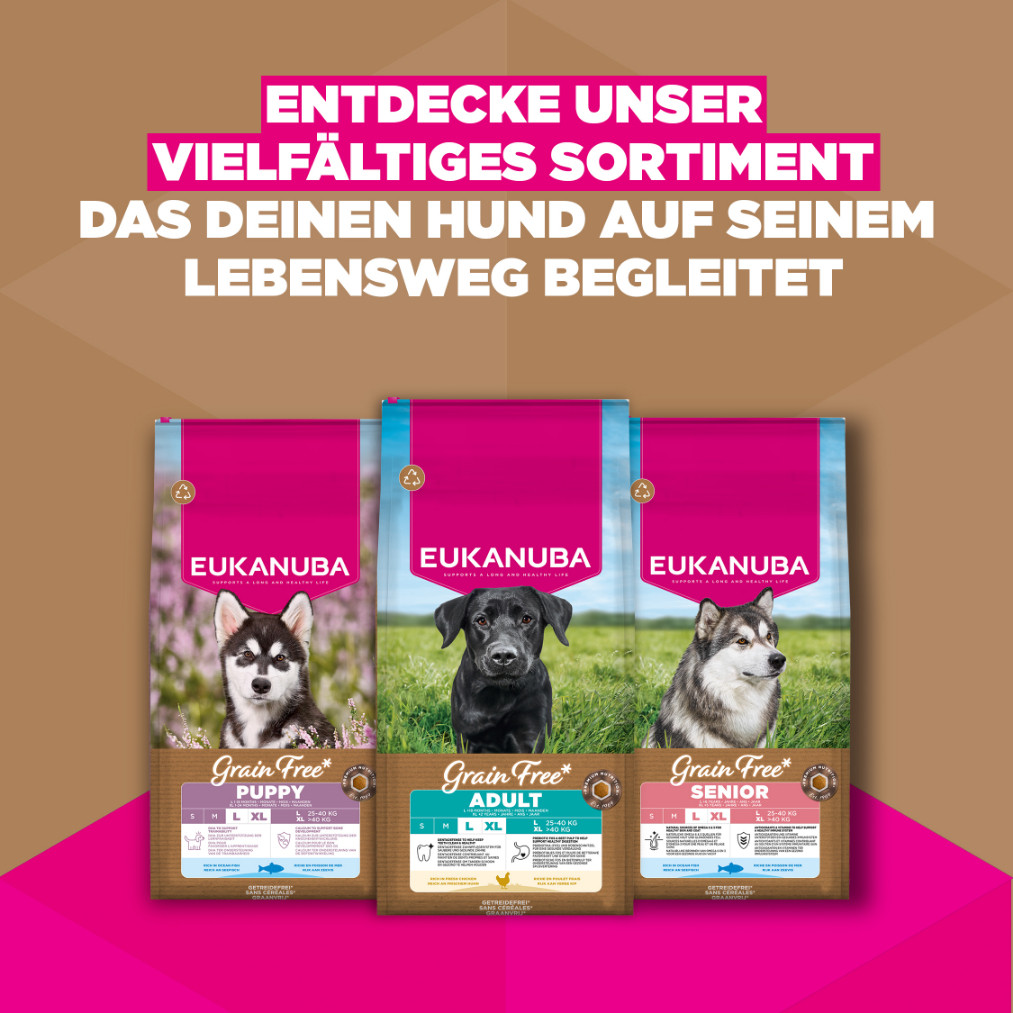 Eukanuba Adult Large kip graanvrij hondenvoer