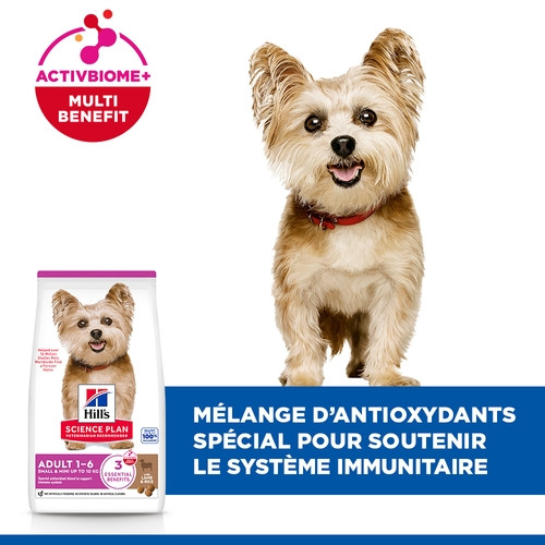 Hill's Adult Small & Miniature Lam & Rijst hondenvoer