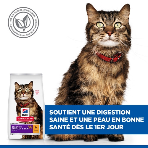 Hill's Adult Sensitive Stomach & Skin pour chat