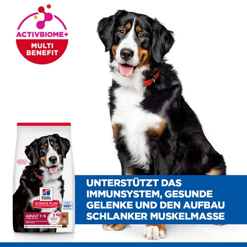 Hill's Adult Large Breed Lamm & Reis Hundefutter