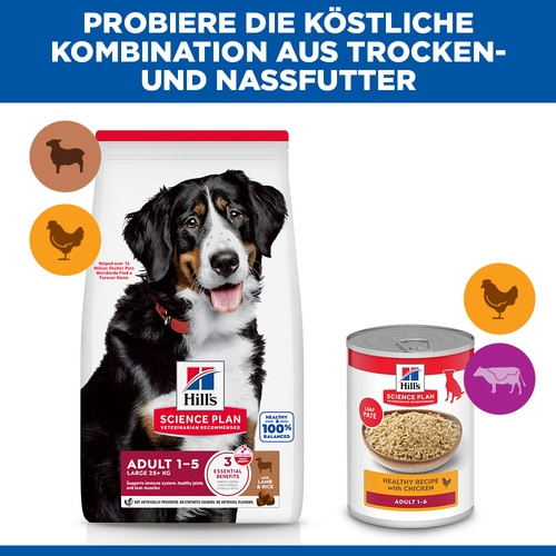 Hill's Adult Large Breed Lamm & Reis Hundefutter
