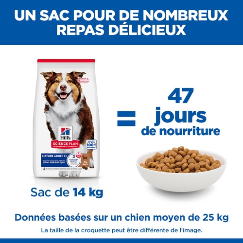Hill's Mature Adult Medium à l'agneau et riz pour chien