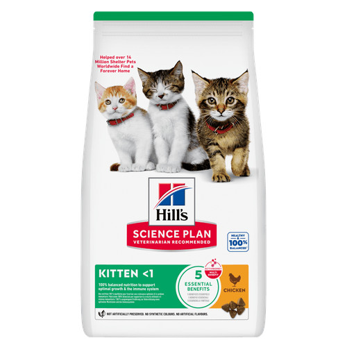 Hill's Kitten Huhn Katzenfutter