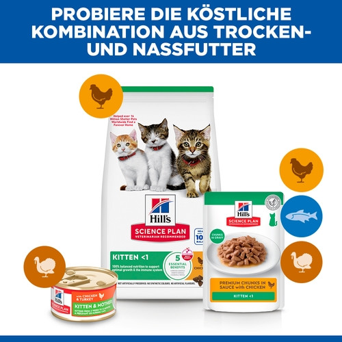 Hill's Kitten Huhn Katzenfutter