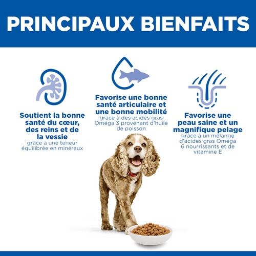 Hill's Senior 11+  Small & Miniature Kip hondenvoer